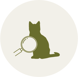 猫の皮膚